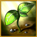 Profile Icon